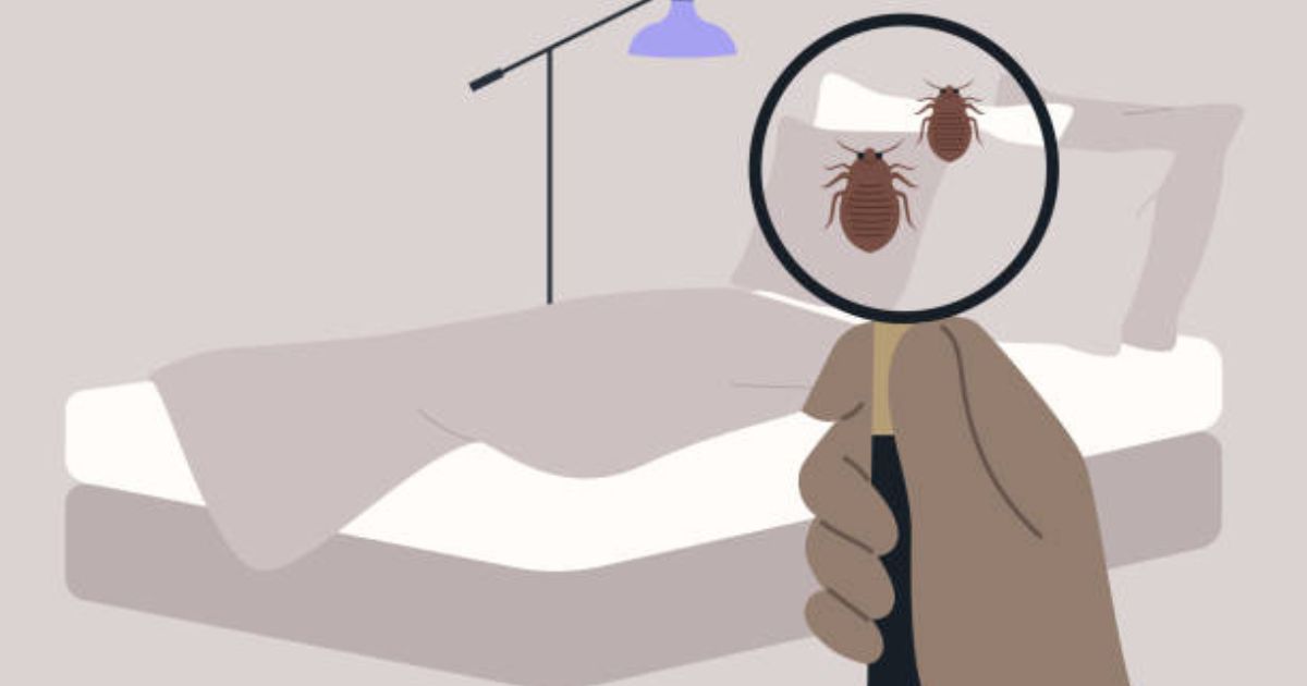Can Bed Bugs Bite Through Clothes